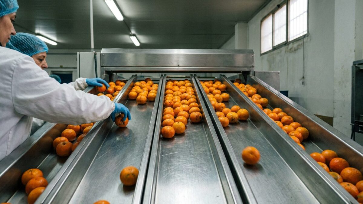 Selezione industriale clementine